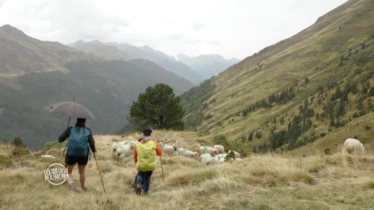 Les Pyrénées, terre d'histoire et de transhumance